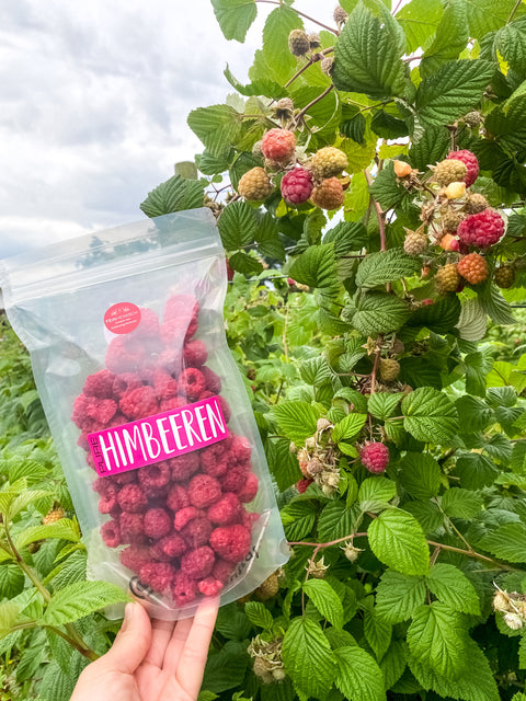 Pure Himbeeren - gefriergetrocknet