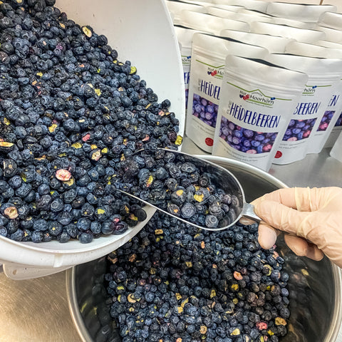 Pure Heidelbeeren - gefriergetrocknet